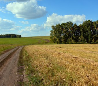 А дорога серою лентою вьётся