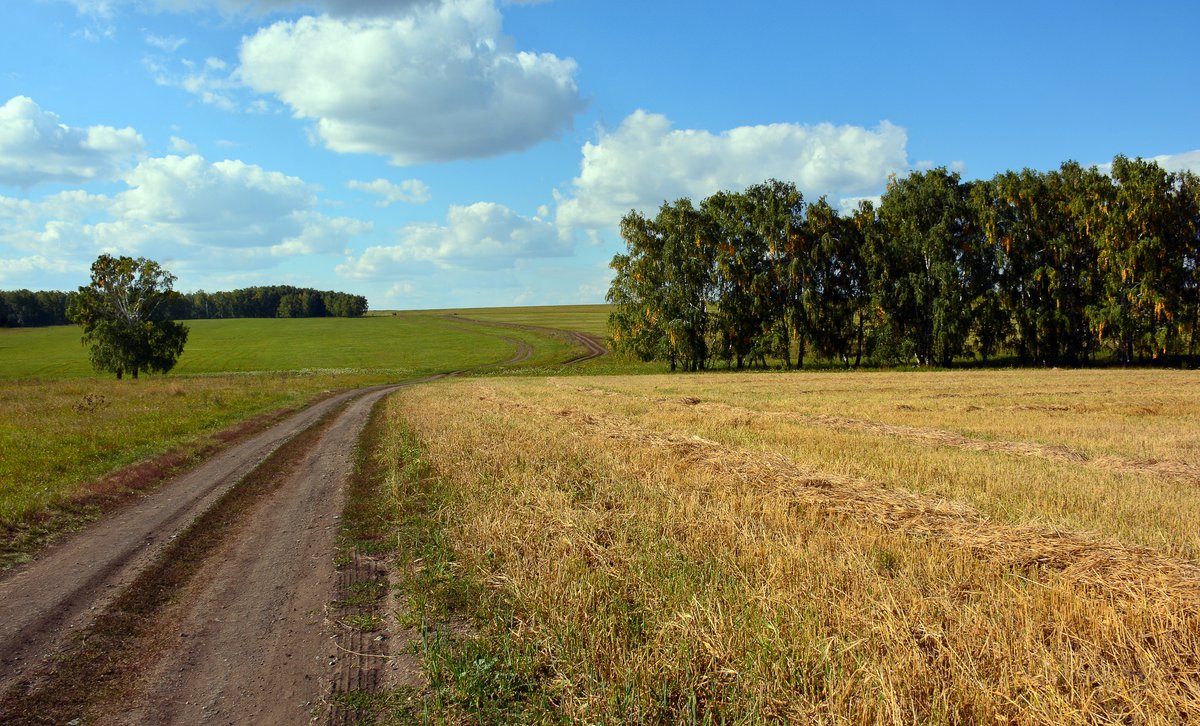 Вьется лентой дорога