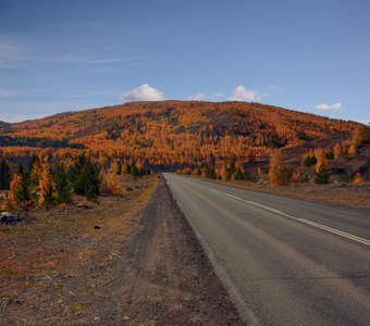 Осенние зарисовки