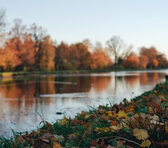 Осенние зарисовки