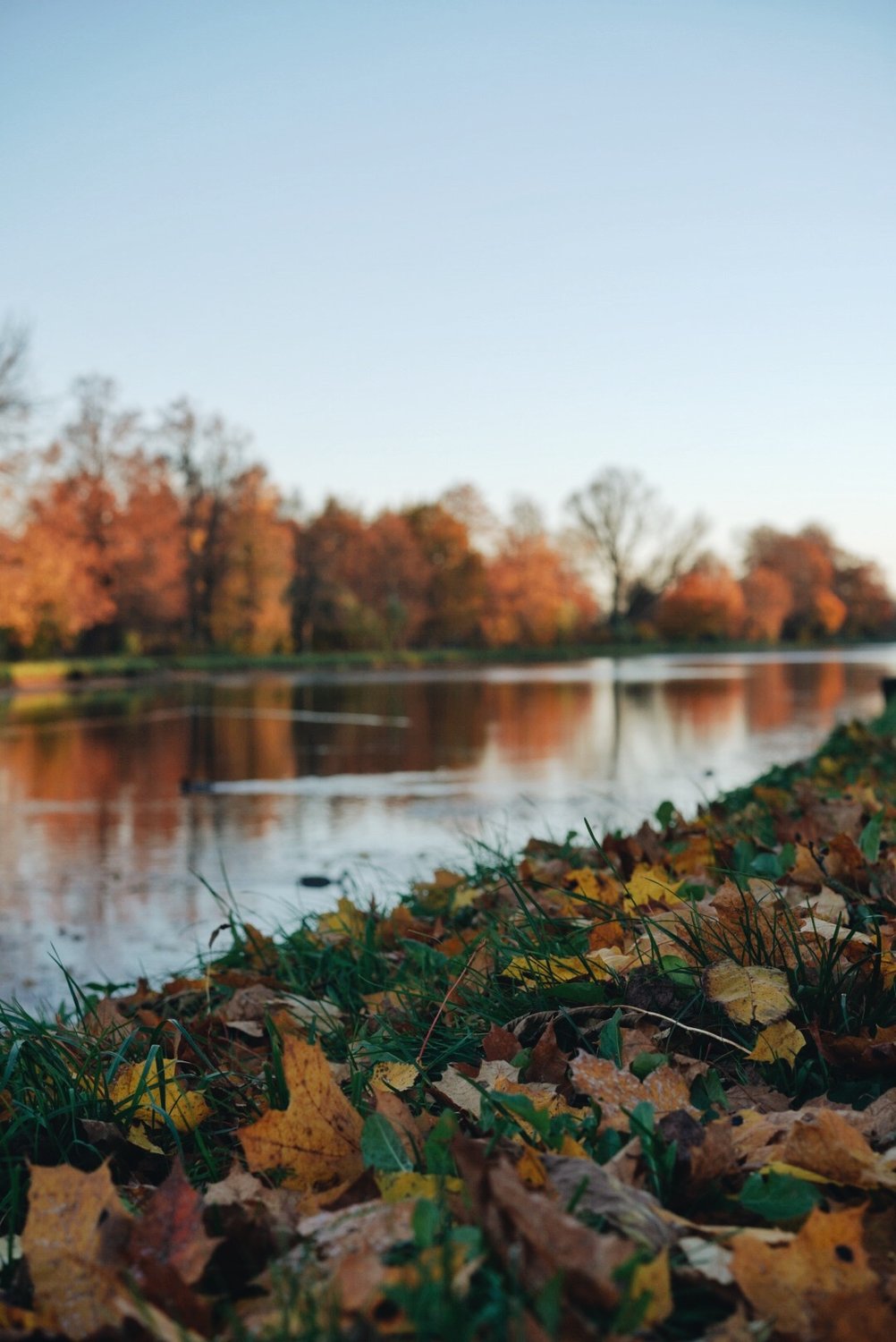 Осенние зарисовки