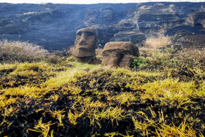 Пожар на острове Пасхи нанес непоправимый ущерб священным статуям моаи