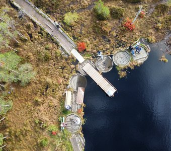 Мухинские болота