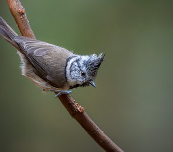 вверх тормашками
