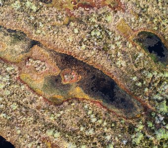 Радуга земли