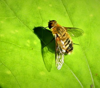 К взлёту готова!!!