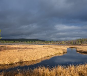 Улыбка октября