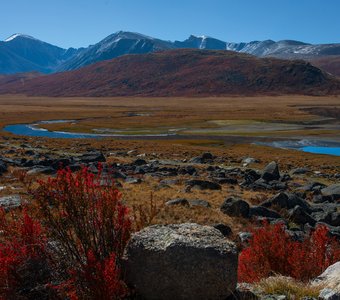 Устье Нарын-гола