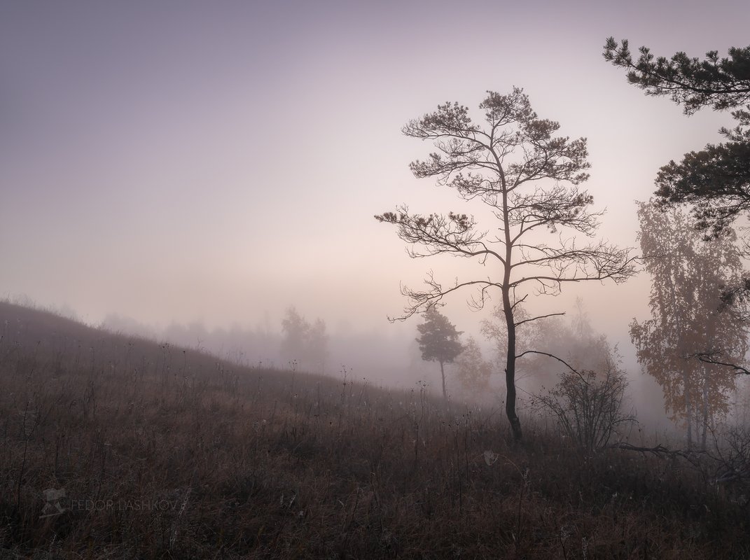 заповедник лысые горы