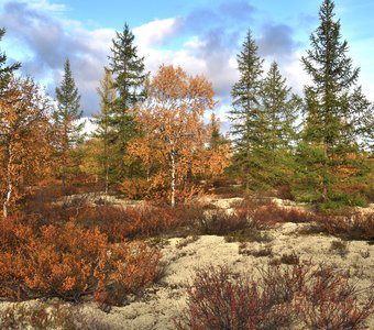 Осенняя песнь Ямала