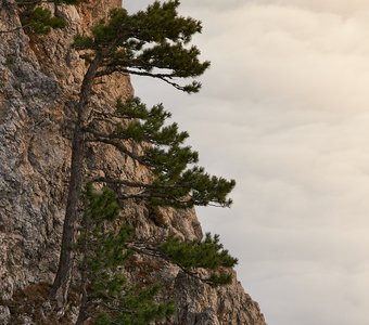 Крепче скал, выше облаков