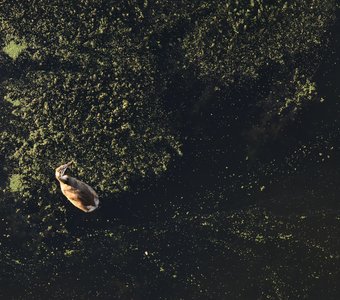 Над водным пространством