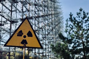 В Чернобыльской зоне отчуждения у лягушек обнаружили новую мутацию