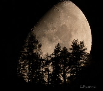 Ночной снимок Луны