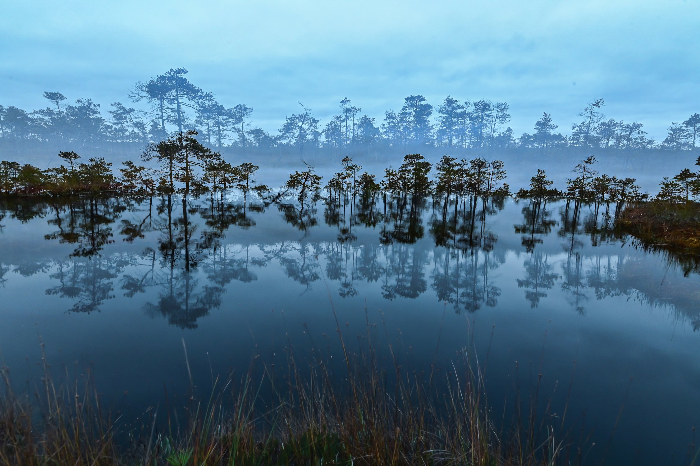 Болотная мистика