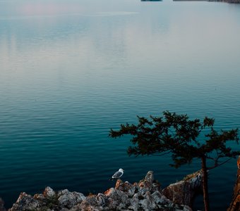 На просторах Байкала