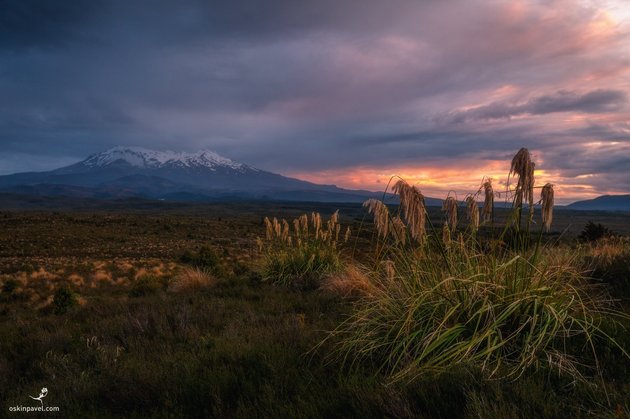 Фото: Павел Оськин / фотохостинг rtraveler.ru