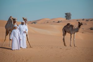 В России запустили чартеры на новый курорт ОАЭ