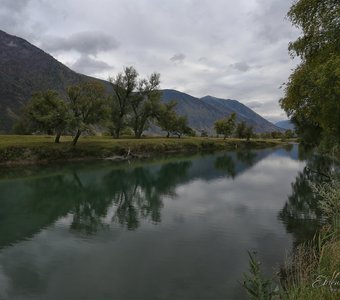 Алтай, река Башкаус