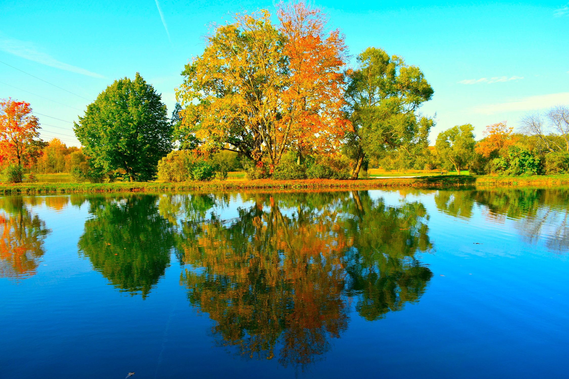 Отраженная осень в воде