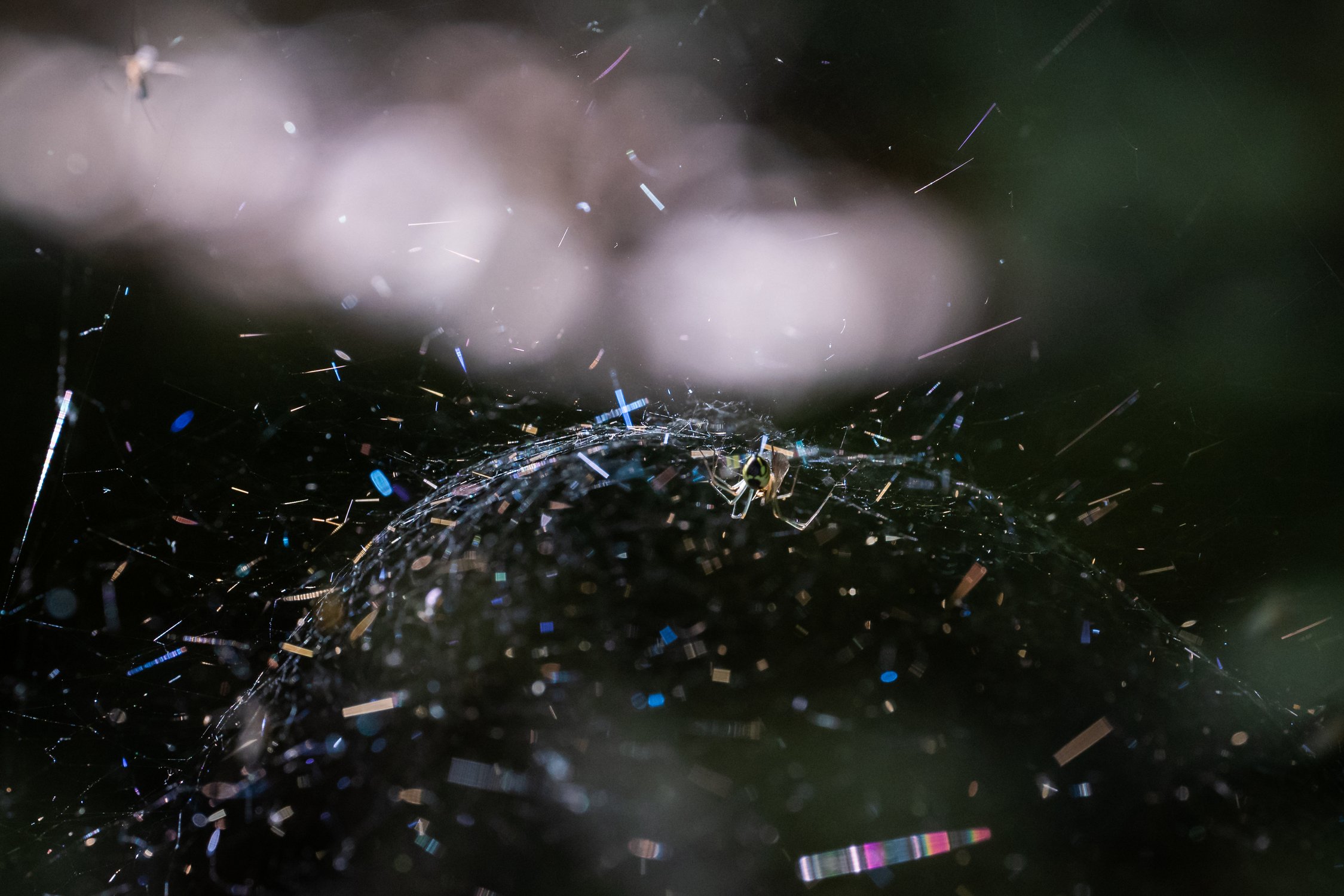 На своей планете