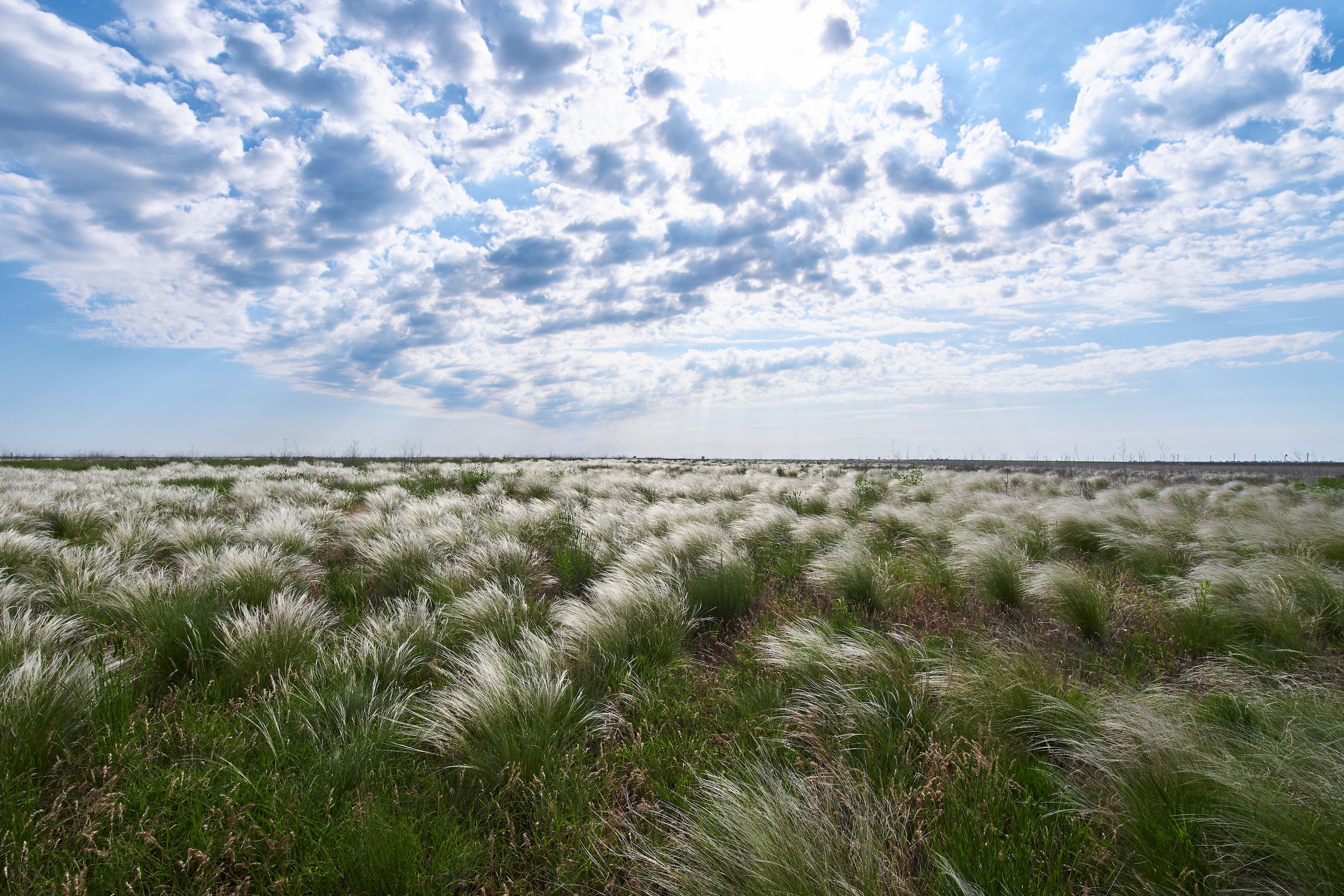 Волжская степь