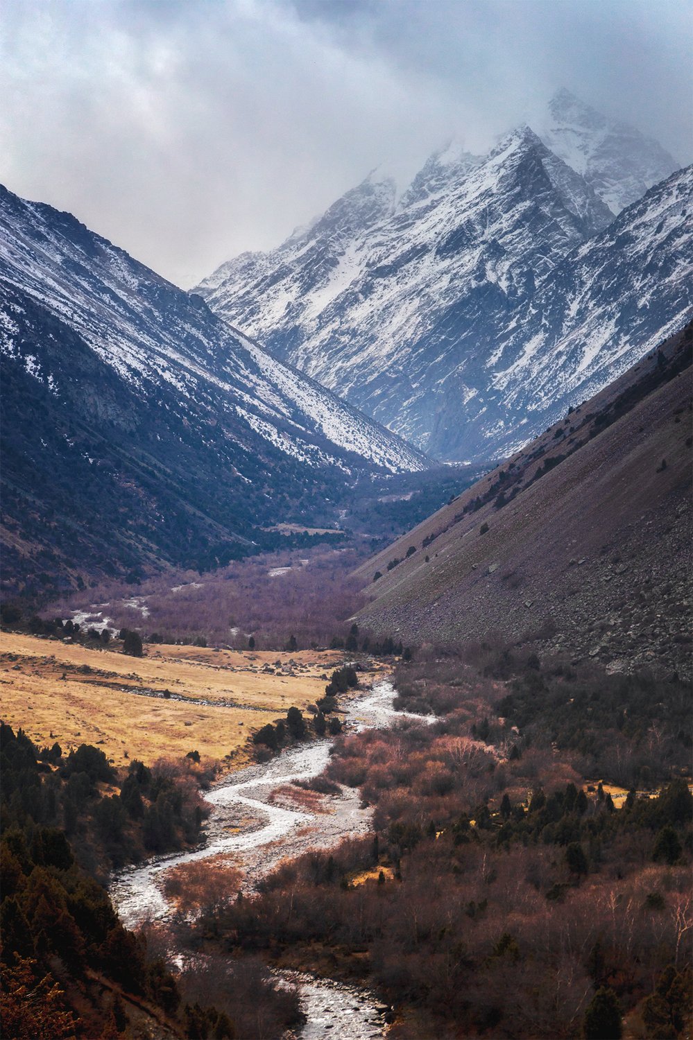 По дороге к снегу