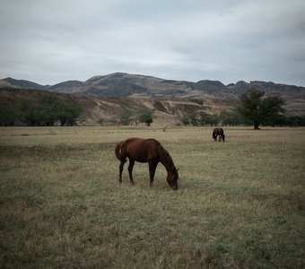 Где-то в Дагестане