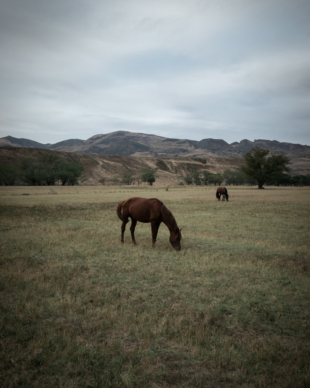 Где-то в Дагестане