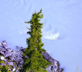 Воды реки Катунь