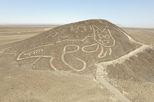 Необычный геоглиф: громадная кошка на плато Наска