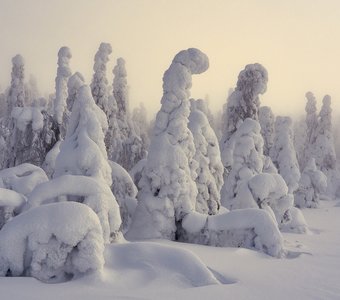 Снежное царство