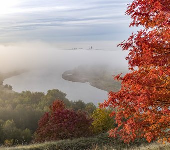 Багряная осень