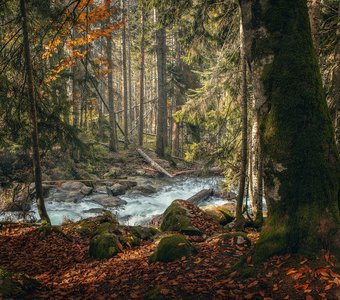 Осенний день горной реки