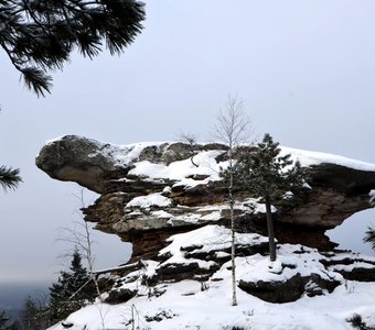 Каменная Черепаха