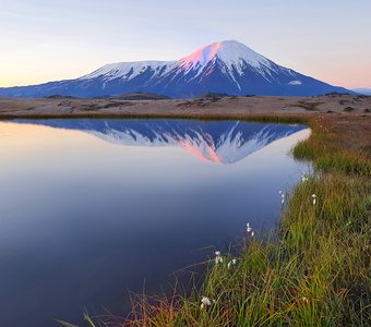 Толбачик смотрится в зеркало