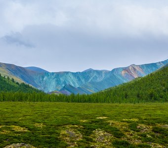 Радуга в пасмурный день