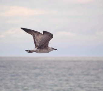 Вне времени