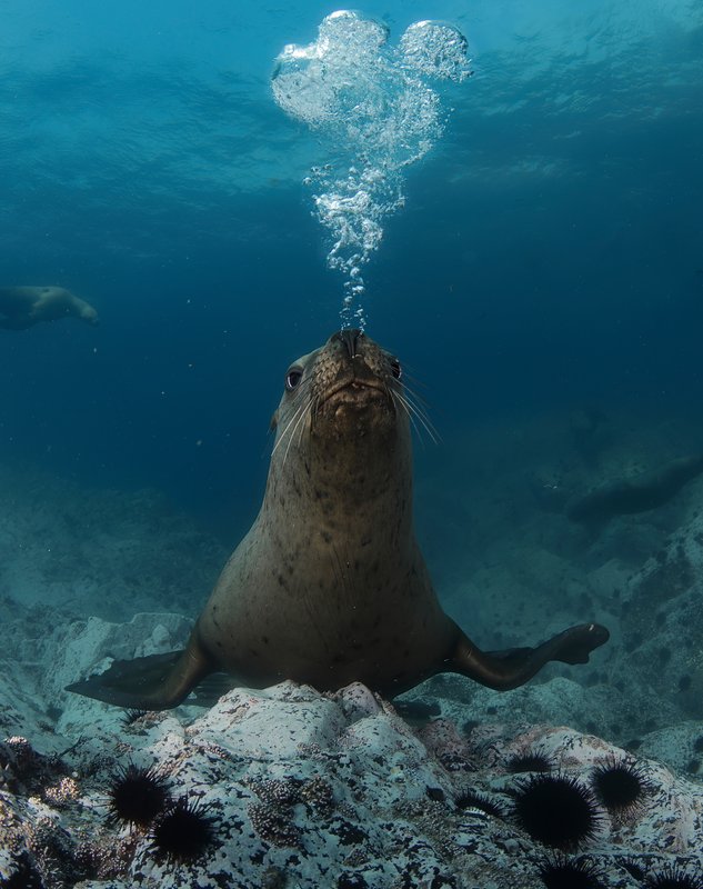 Пуская пузыри — Фото №1428674