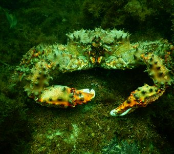 Сидим, едим