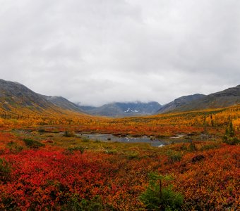 Осень