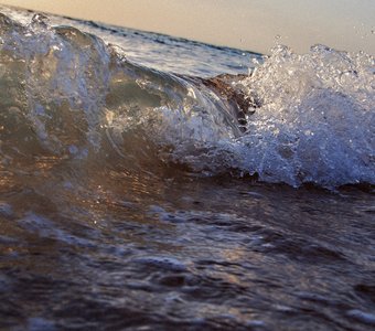 Ловец солнца