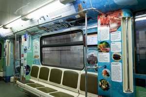 В московском метро запустили новый тематический поезд, посвященный Дальнему Востоку