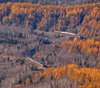 Сахалинская осень