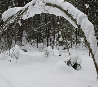 Снежное коромысло