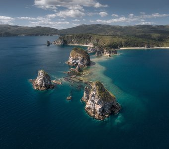 Бакланьи и Сосновый