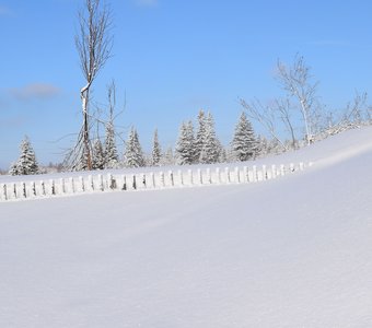 Сибирская зима