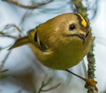 А чё это вы тут делаете, а?