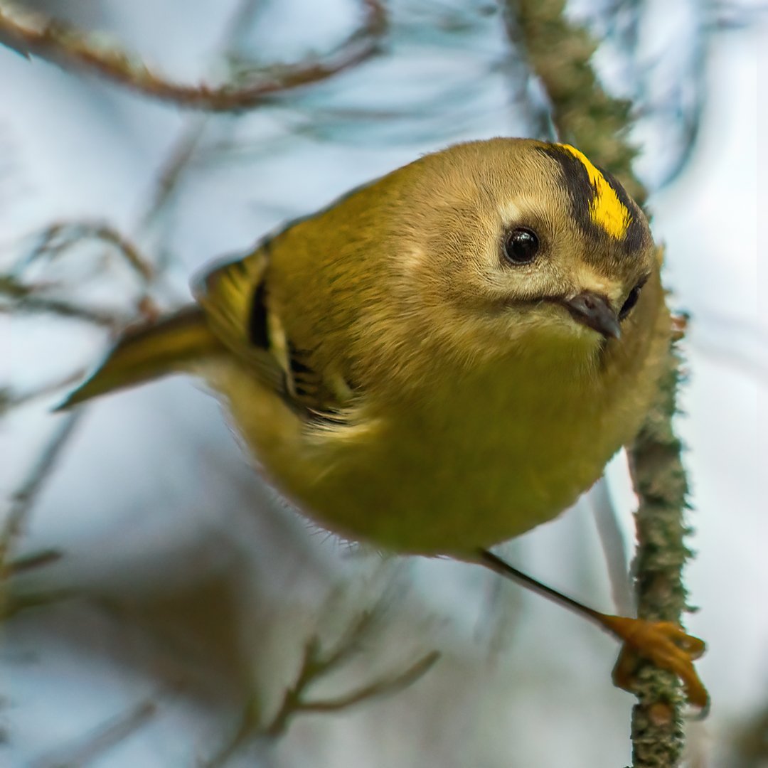 А чё это вы тут делаете, а?