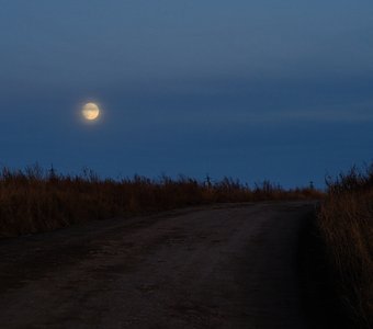 По дороге с луной